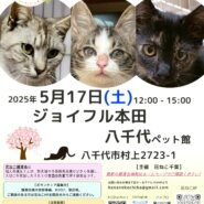 花ねこ譲渡会