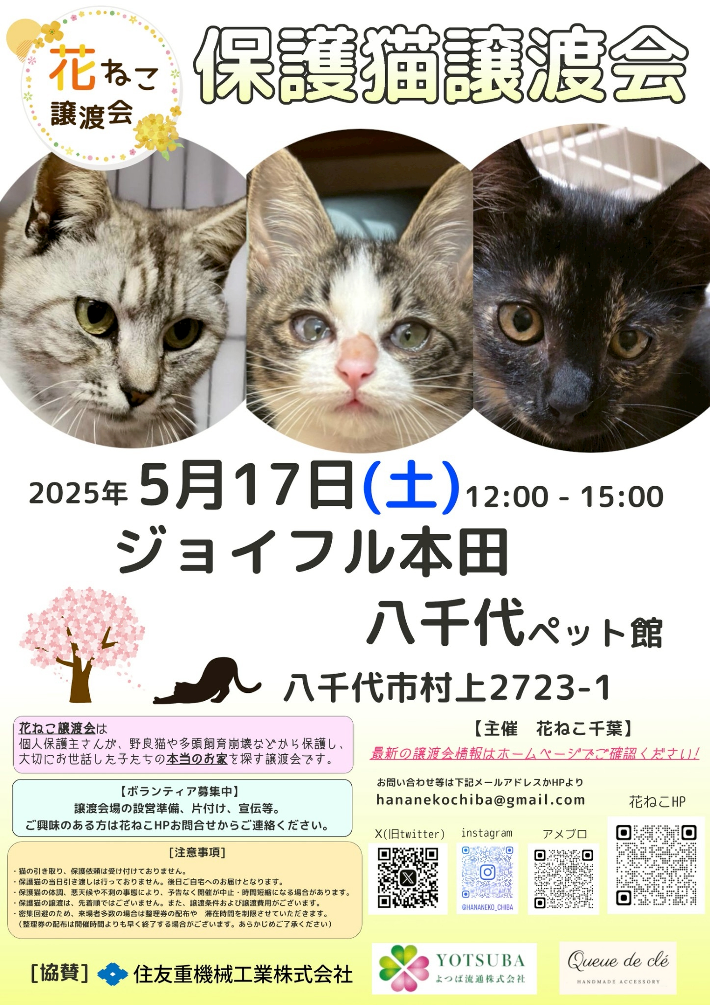 花ねこ譲渡会