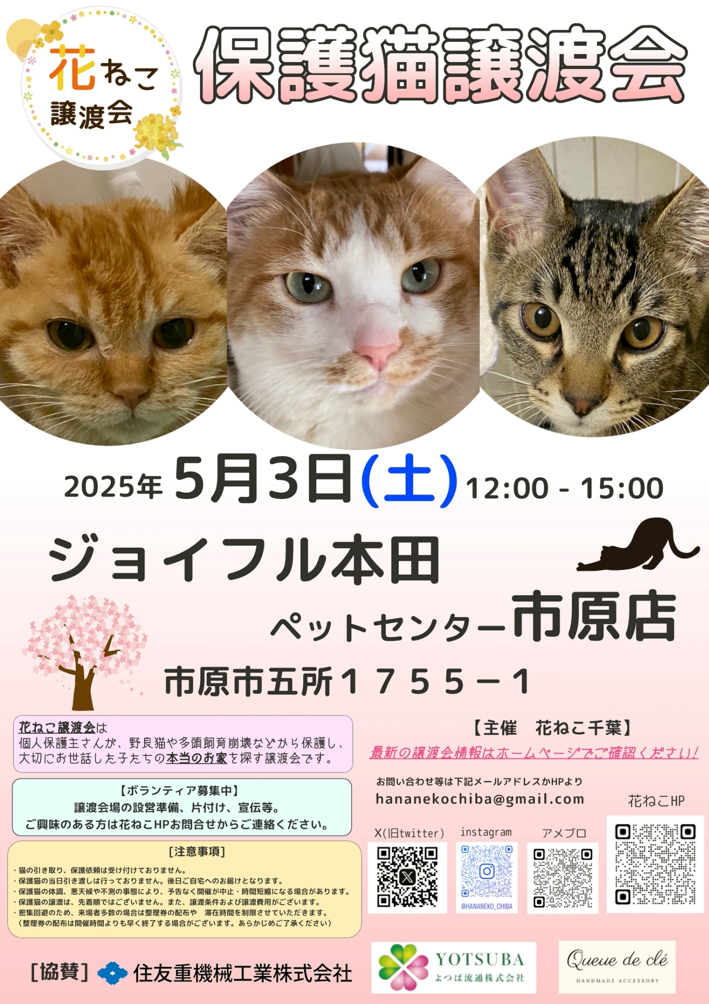 花ねこ譲渡会