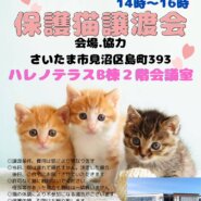 【さいたま市見沼区】5/18(日)ハレノテラス保護猫譲渡会