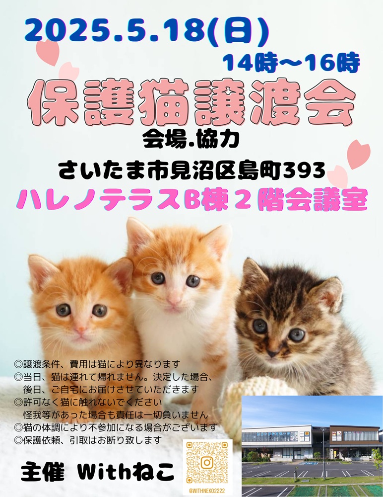 【さいたま市見沼区】5/18(日)ハレノテラス保護猫譲渡会
