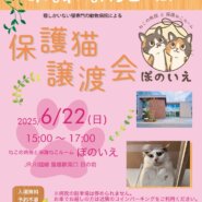 【さいたま市西区】6/22日)猫専門病院「ぽのいえ」保護猫譲渡会