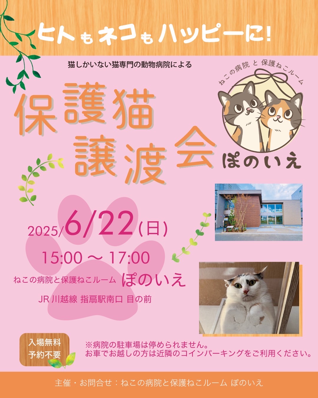 【さいたま市西区】6/22日)猫専門病院「ぽのいえ」保護猫譲渡会