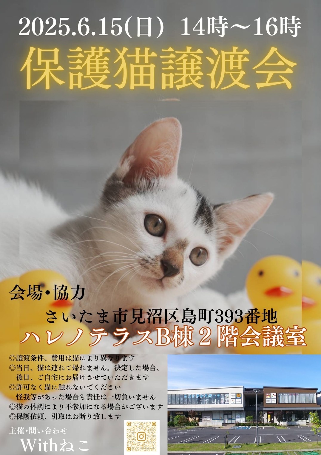 【さいたま市見沼区】6/15(日)ハレノテラス保護猫譲渡会
