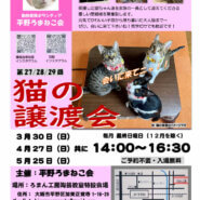 第29回 平野ろまねこ譲渡会