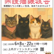 保護猫譲渡会in大牟田市上内ガソリンスタンド跡