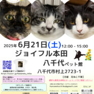 花ねこ譲渡会