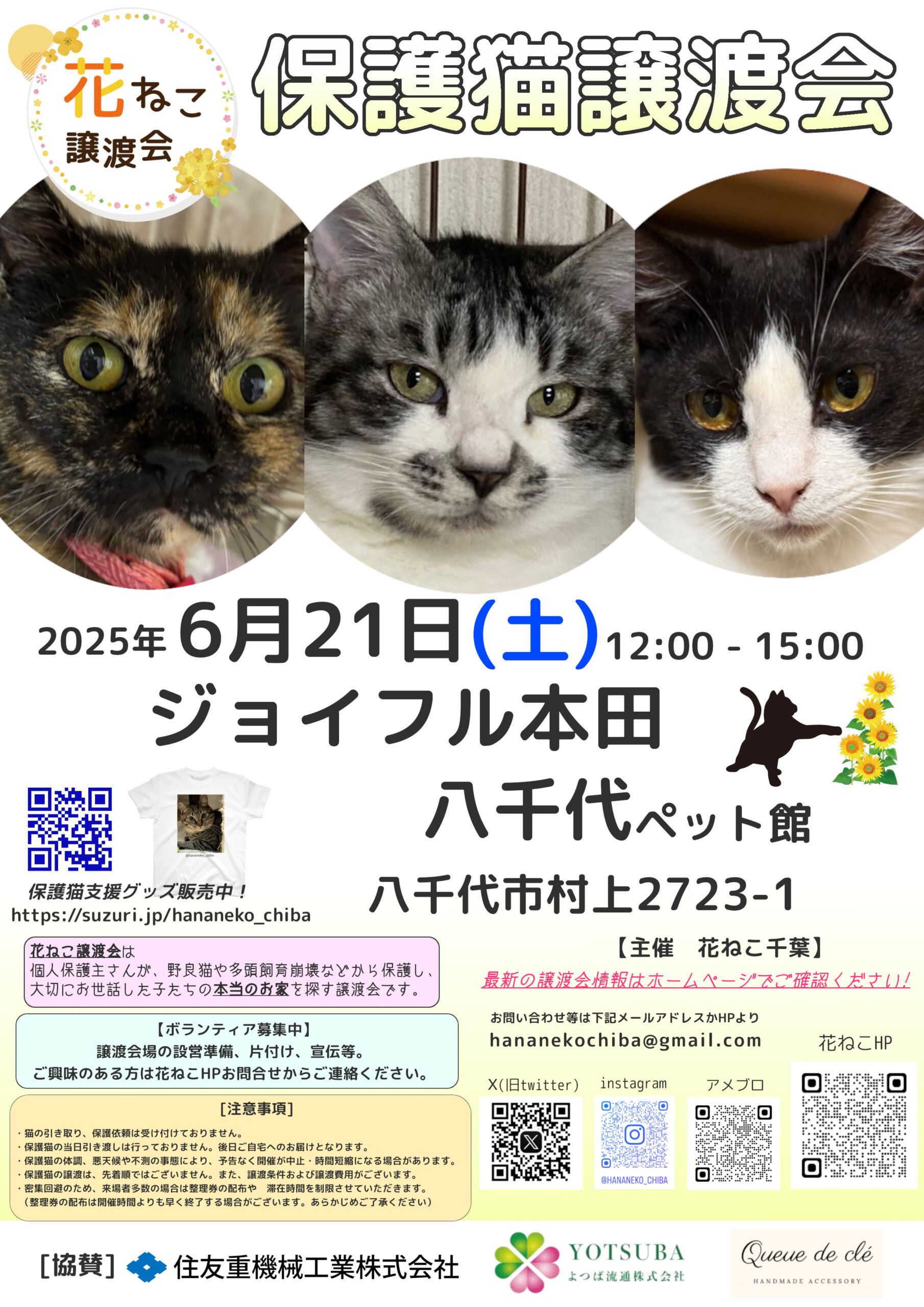 花ねこ譲渡会