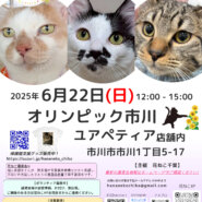 花ねこ譲渡会