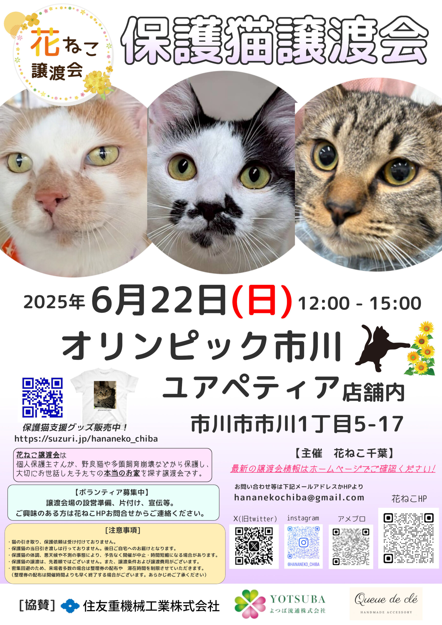 花ねこ譲渡会