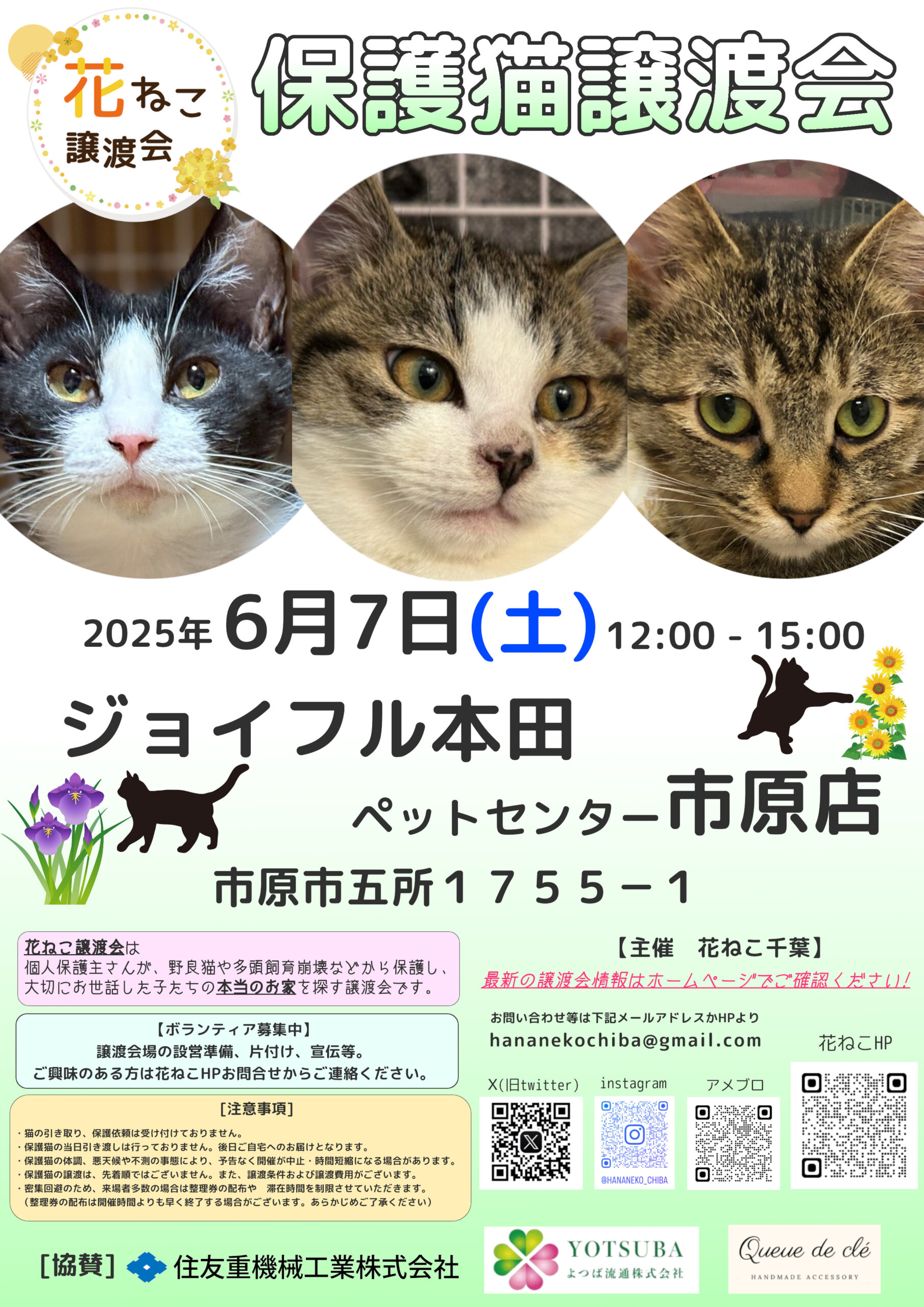 花ねこ譲渡会