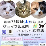 花ねこ譲渡会