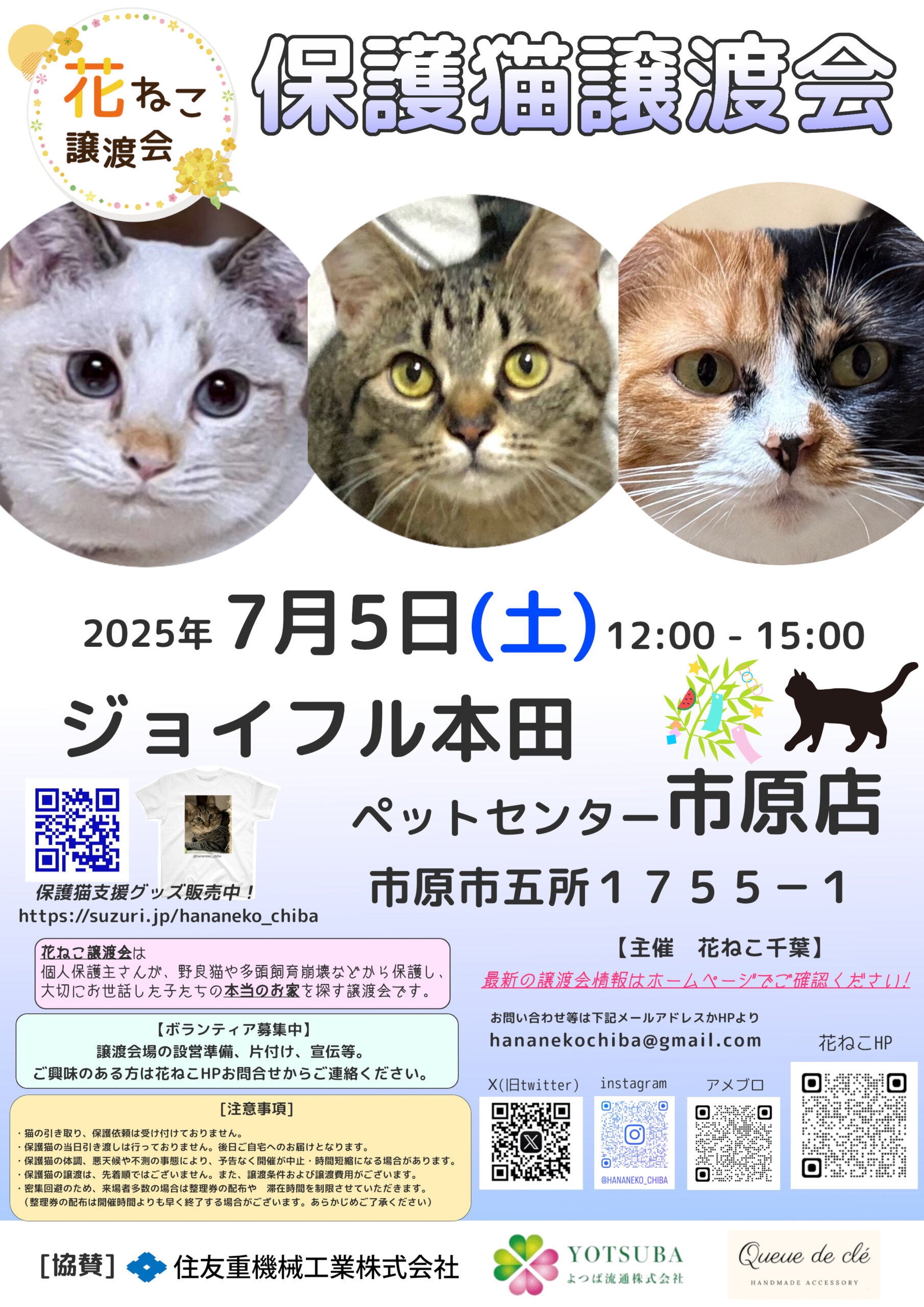 花ねこ譲渡会