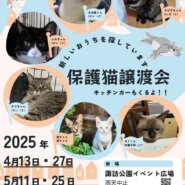 保護猫譲渡会in大牟田市諏訪公園イベント広場