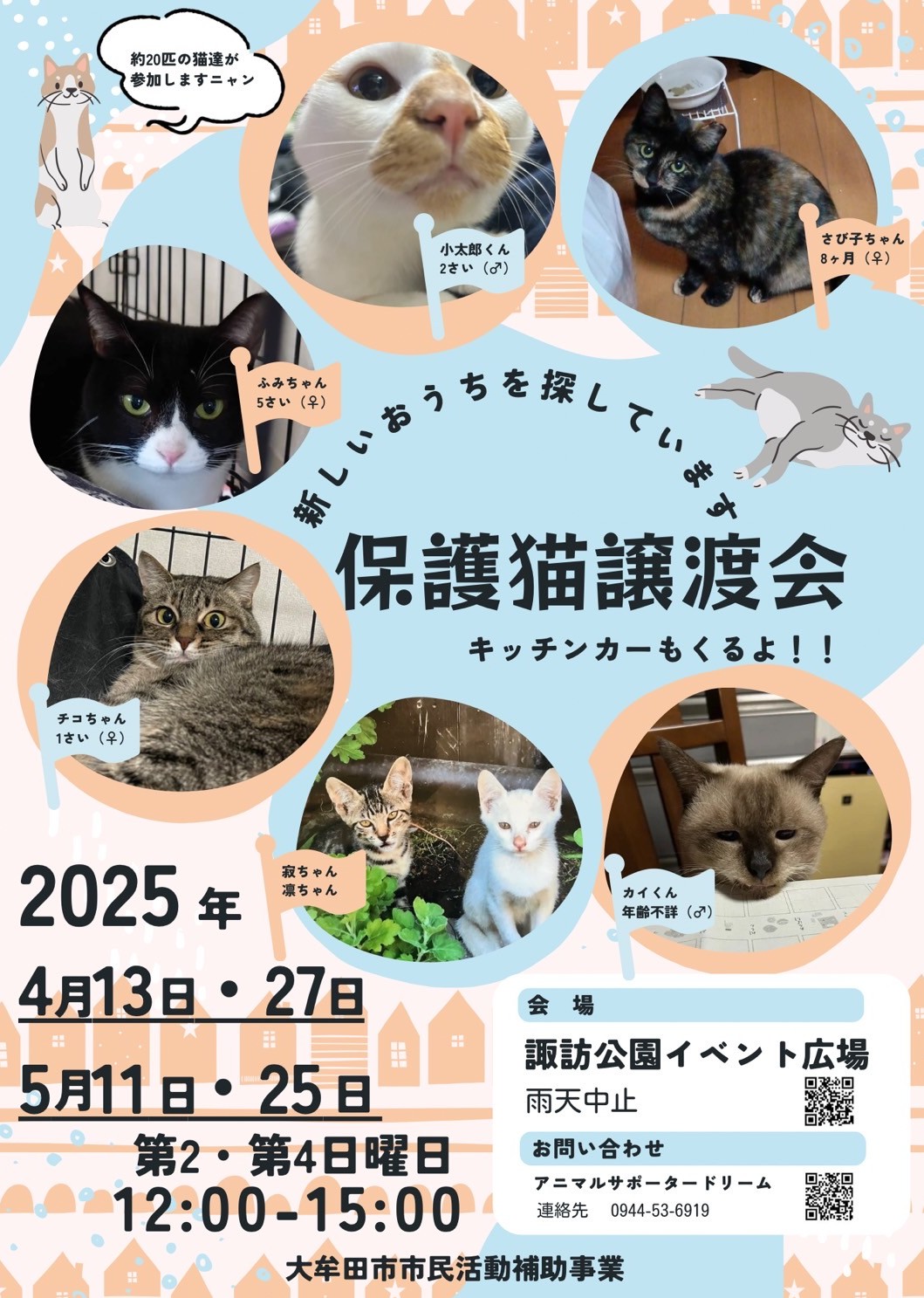 保護猫譲渡会in大牟田市諏訪公園イベント広場