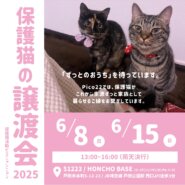 保護猫の譲渡会