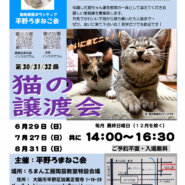 第30回平野ろまねこ譲渡会