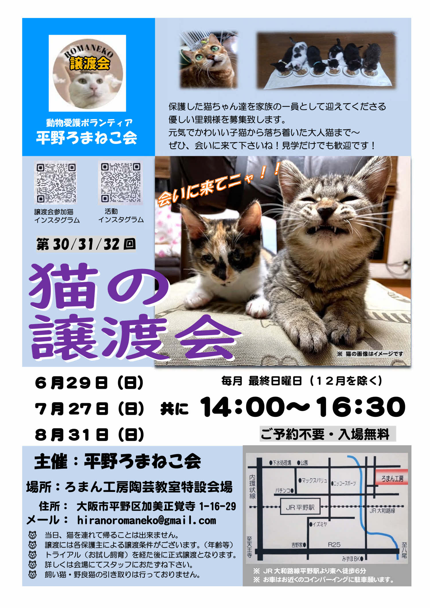 第30回平野ろまねこ譲渡会