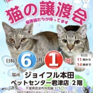 【君津市】保護猫の譲渡会