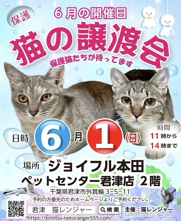 【君津市】保護猫の譲渡会