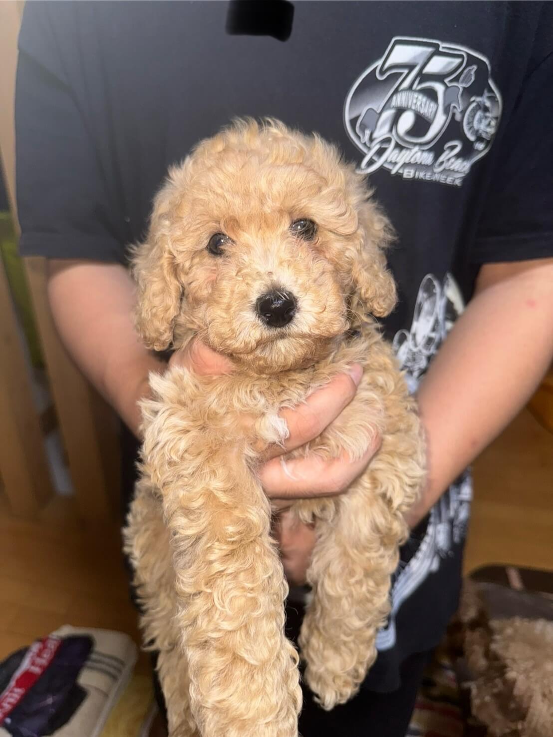 生後2ヶ月の女の子