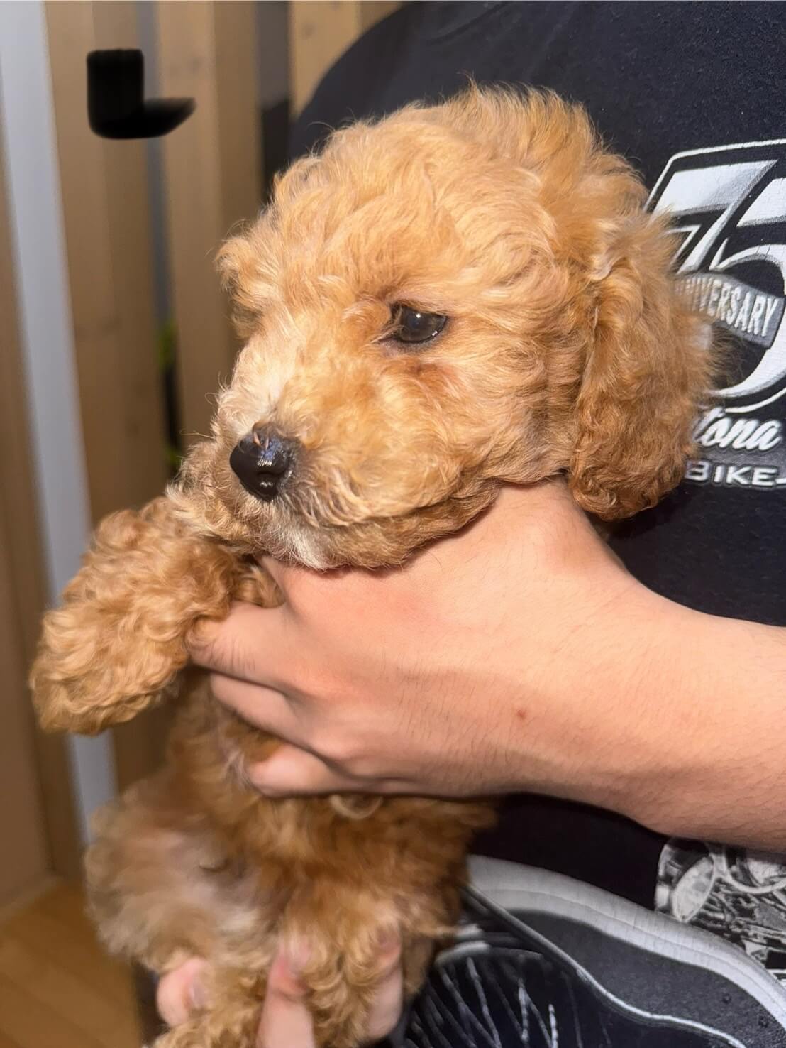 生後2ヶ月の男の子