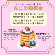 o｡◈｡o+ﾟほごねこ譲渡会ﾟ+o｡◈｡o