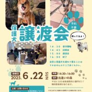 岐阜県関市の保護犬譲渡会🐾