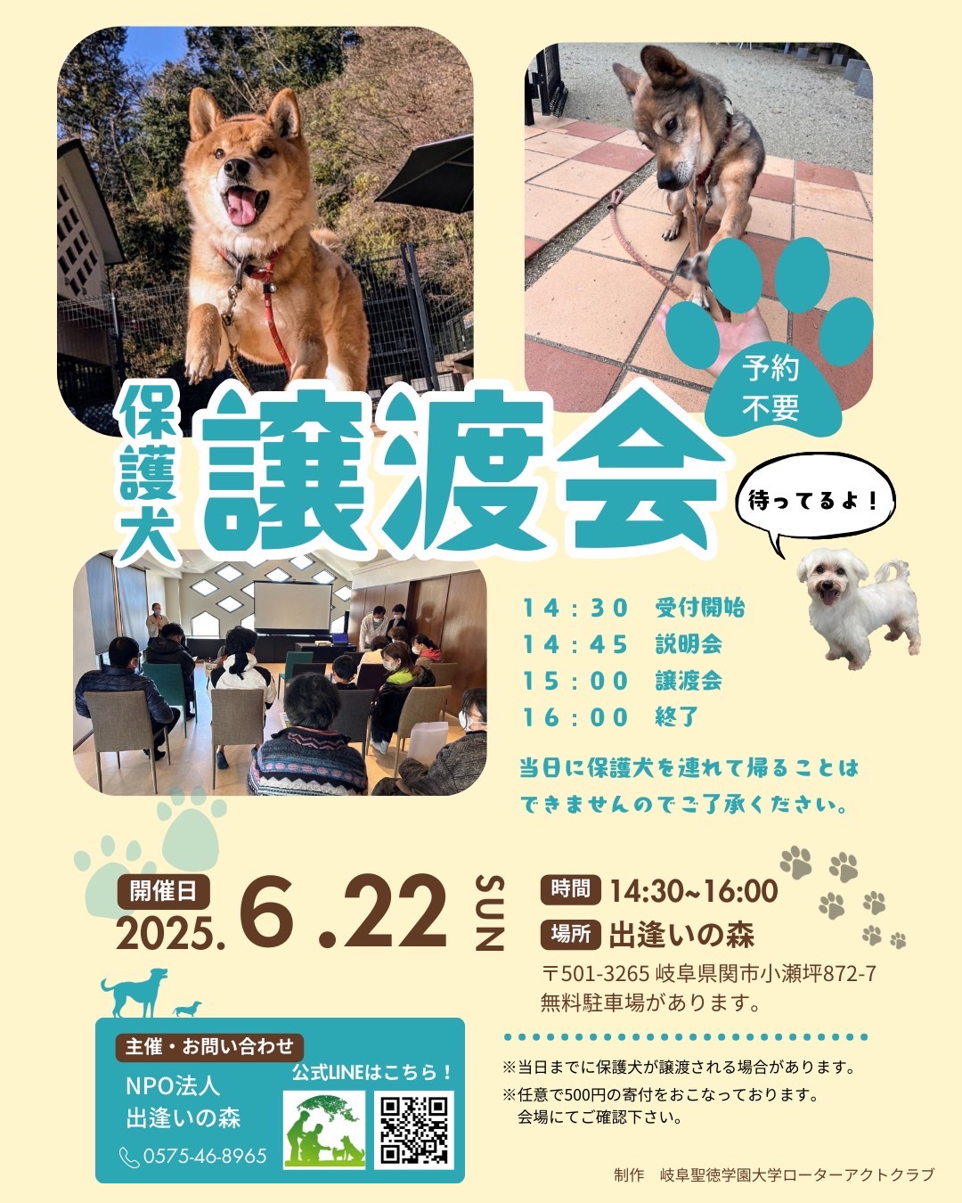 岐阜県関市の保護犬譲渡会🐾