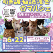 百町保護猫譲渡会＆マルシェ