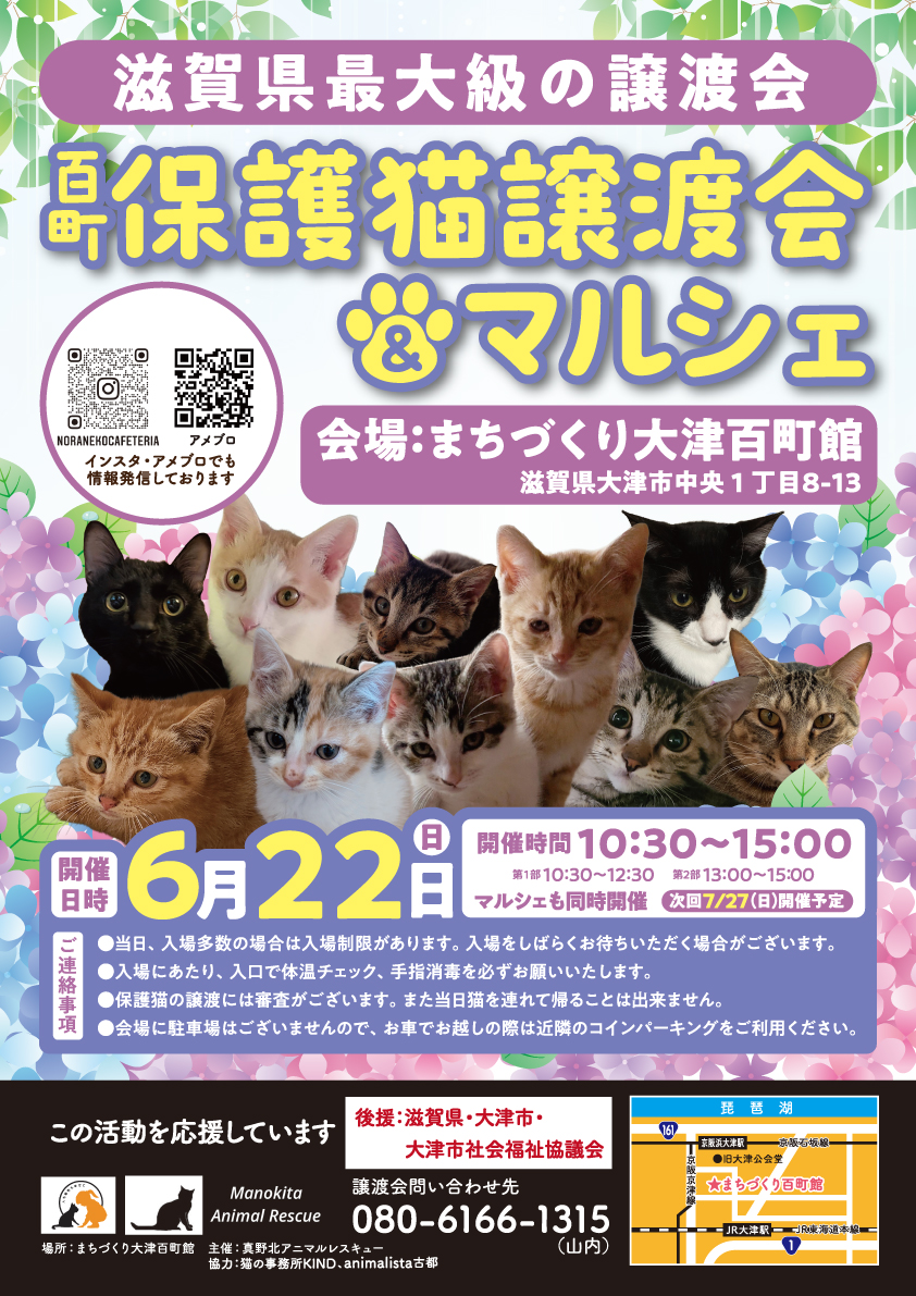 百町保護猫譲渡会＆マルシェ