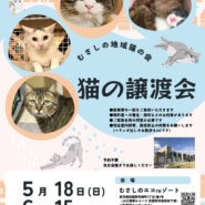 むさしの地域猫の会　譲渡会