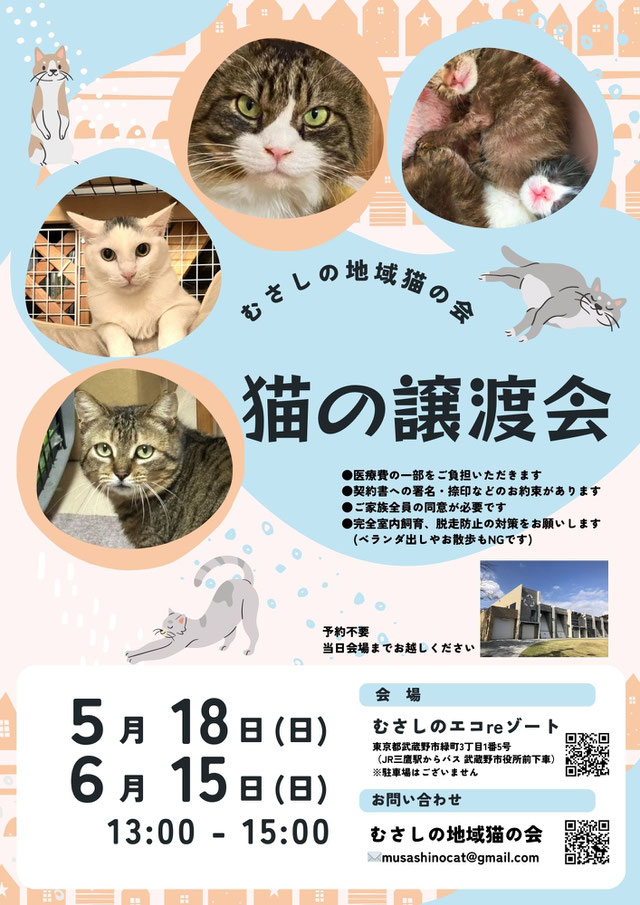 むさしの地域猫の会　譲渡会