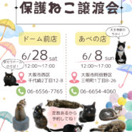 ふれあえる譲渡会 in大阪市
