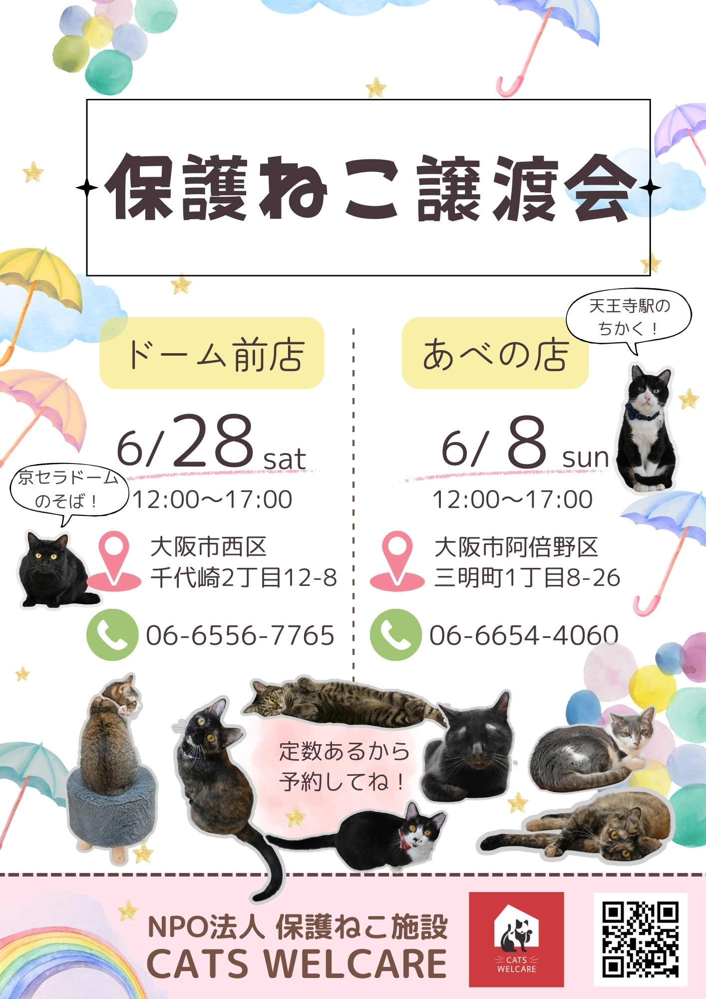 ふれあえる譲渡会 in大阪市