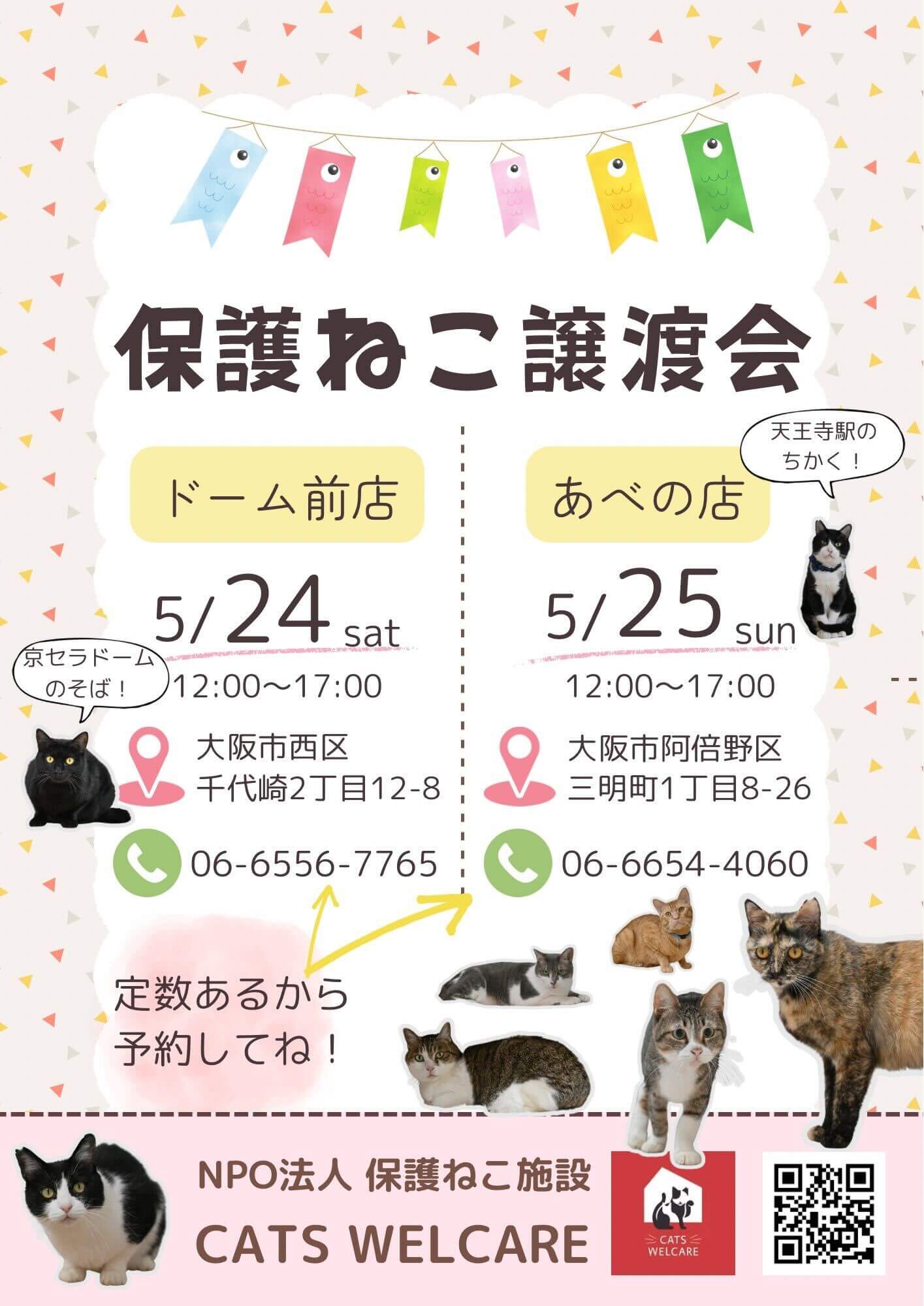 ふれあえる譲渡会 in大阪市