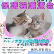 【さいたま市見沼区】7/6(日)ハレノテラス保護猫譲渡会