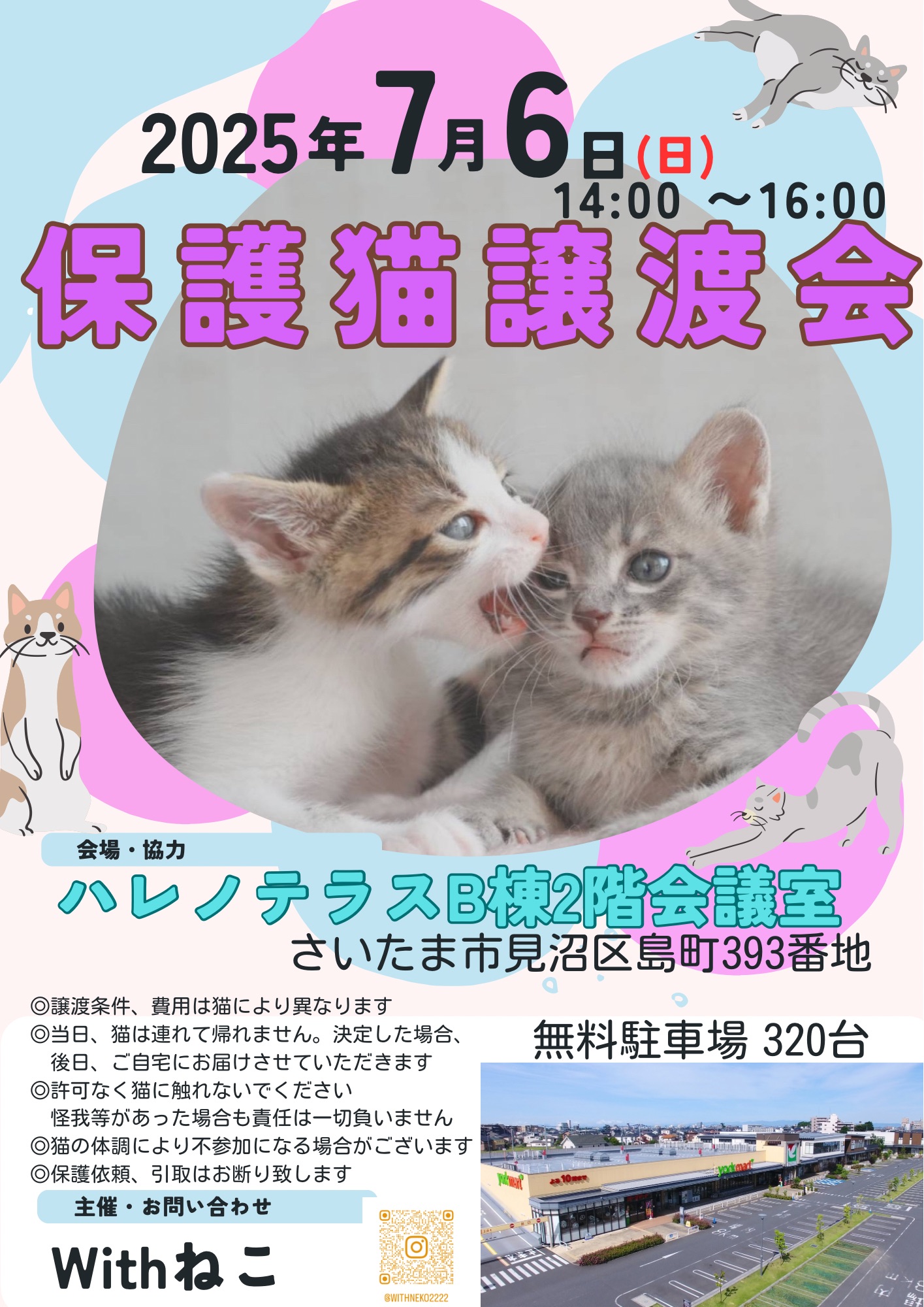【さいたま市見沼区】7/6(日)ハレノテラス保護猫譲渡会