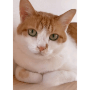 慎重派な女の子おはなちゃん！