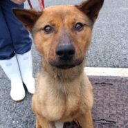 人も食べるのも大好きなウーロンくん🐉