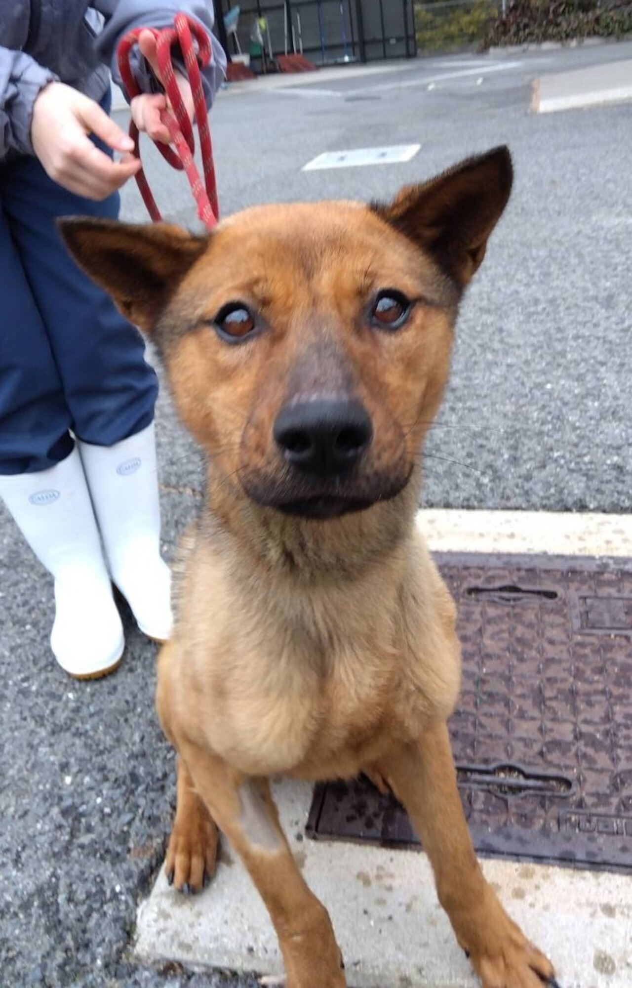 人も食べるのも大好きなウーロンくん🐉