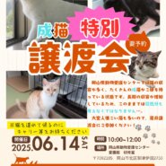 【成猫の特別譲渡会】＠ 岡山県動物愛護センター