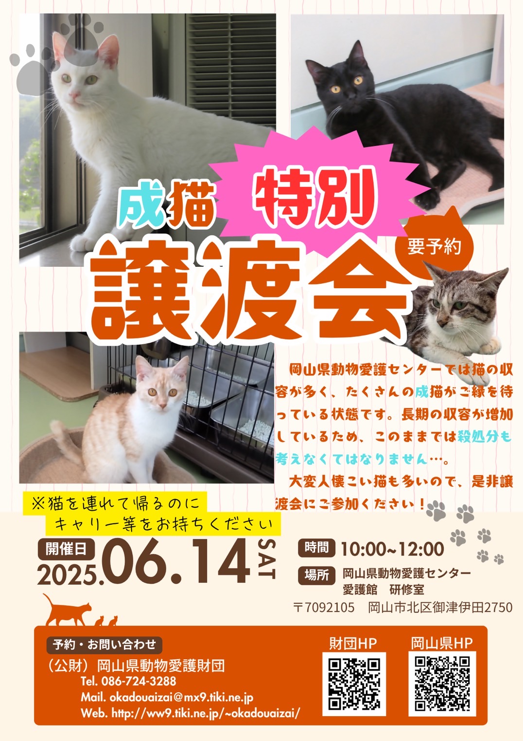 【成猫の特別譲渡会】＠ 岡山県動物愛護センター