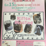 保護猫譲渡会in綾瀬