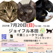 花ねこ譲渡会
