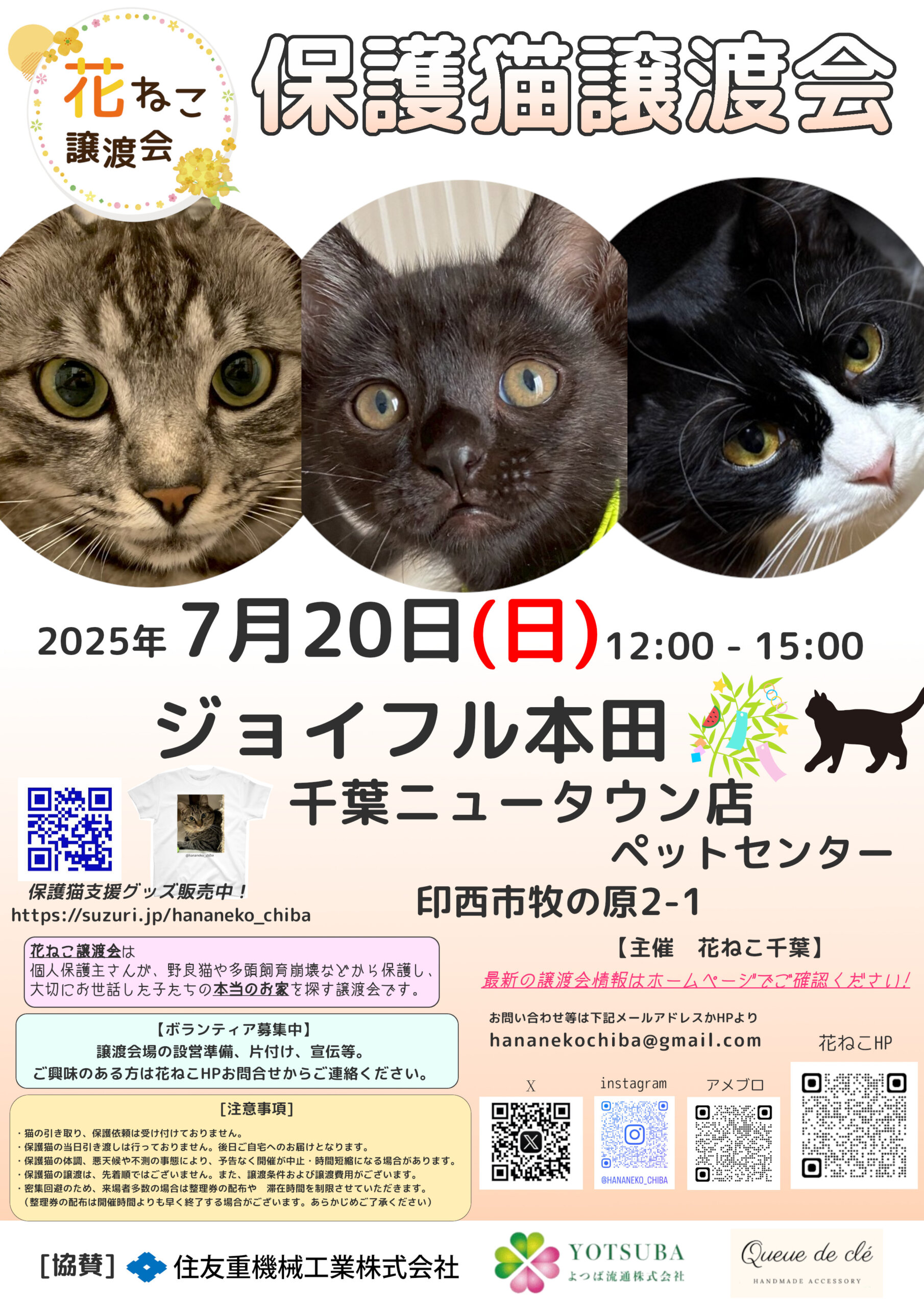 花ねこ譲渡会