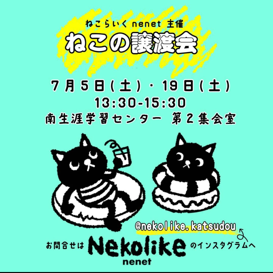 ◆*◇*◆ねこの譲渡会 in 名古屋◆*◇*◆