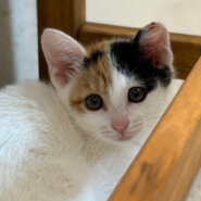 ちょっと怖がりなエマちゃん！