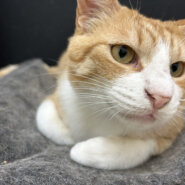 お膝大好きな男の子そら君！