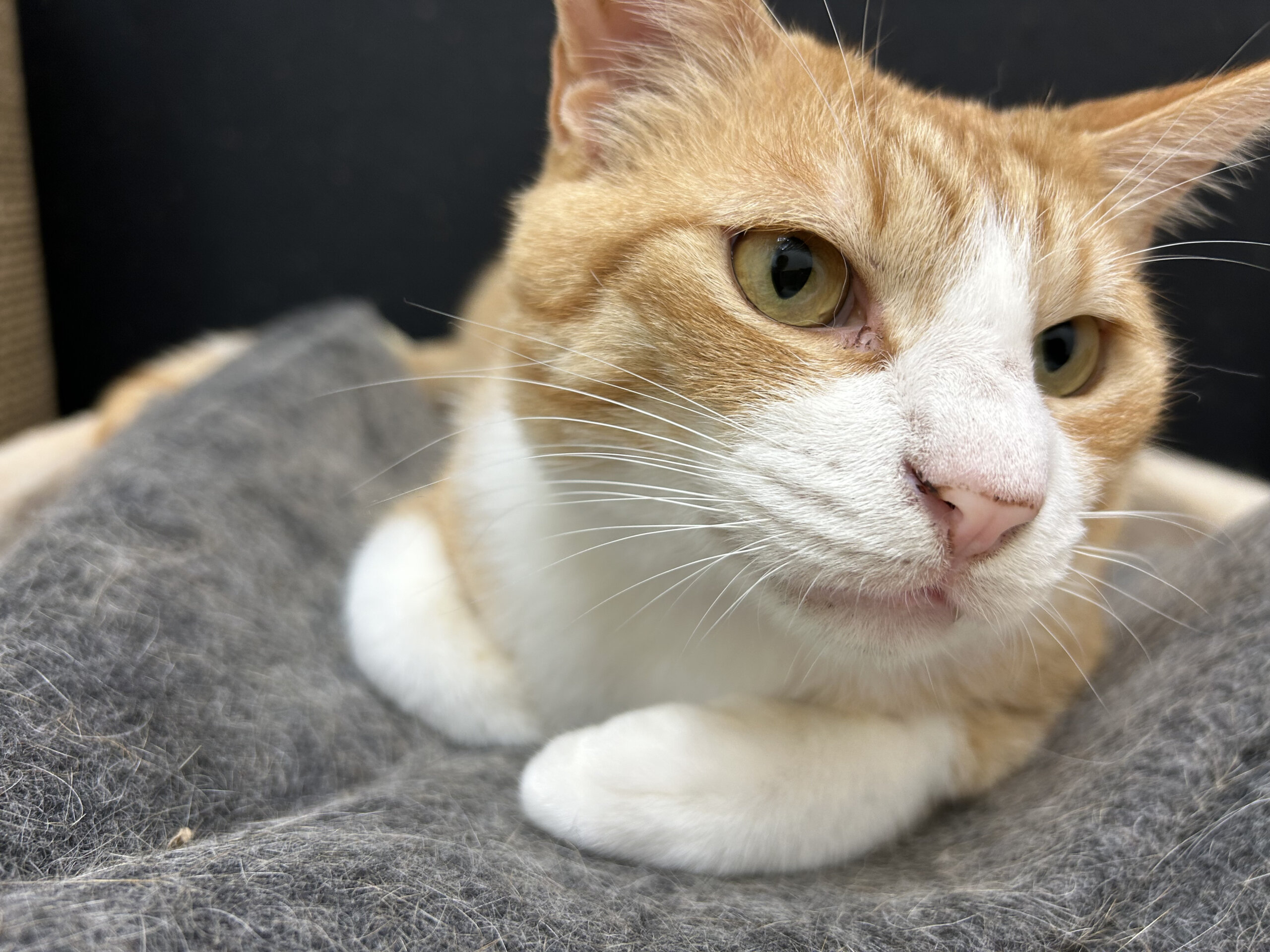 お膝大好きな男の子そら君！